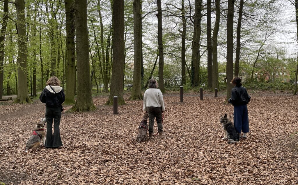 Dieses Bild zeigt ebenfalls die bekannte Hundetrainerin aus dem Münsterland, Heike Fix. Sie ist auf Hundetraining in Münster spezialisiert.