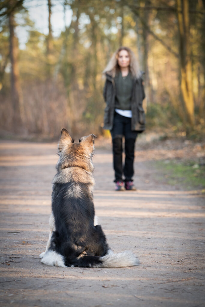 Heike Fix im Einzeltraining mit Hund – Hundetraining und Verhaltenstherapie in Münster und Umgebung